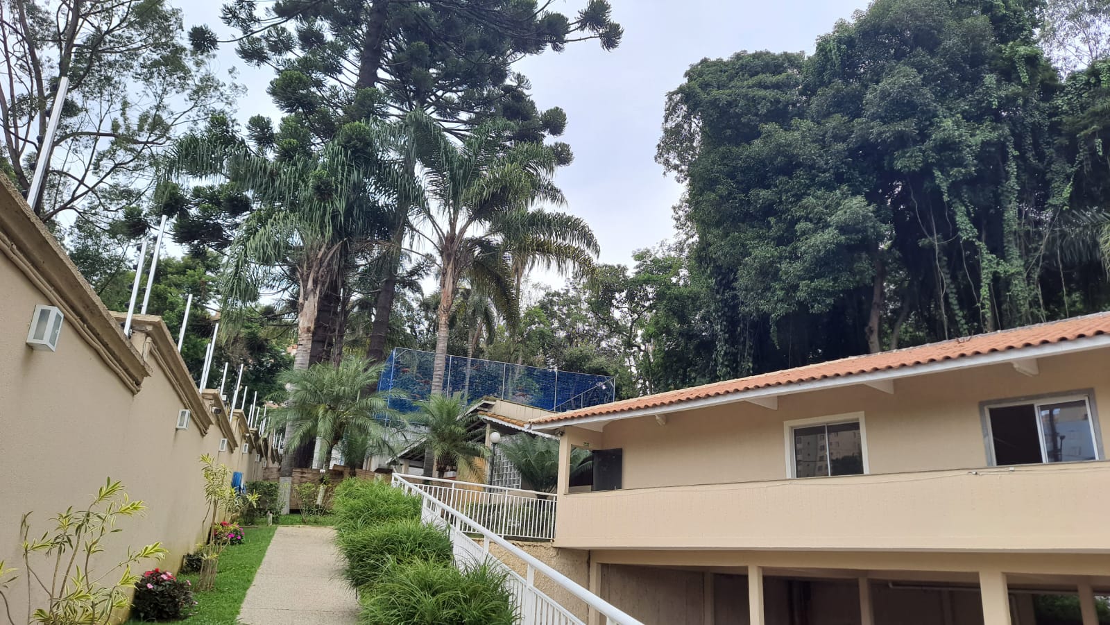 Apartamento de 2 quartos Para comprar/alugar em Vila Sônia - AP76098 - Foto 7