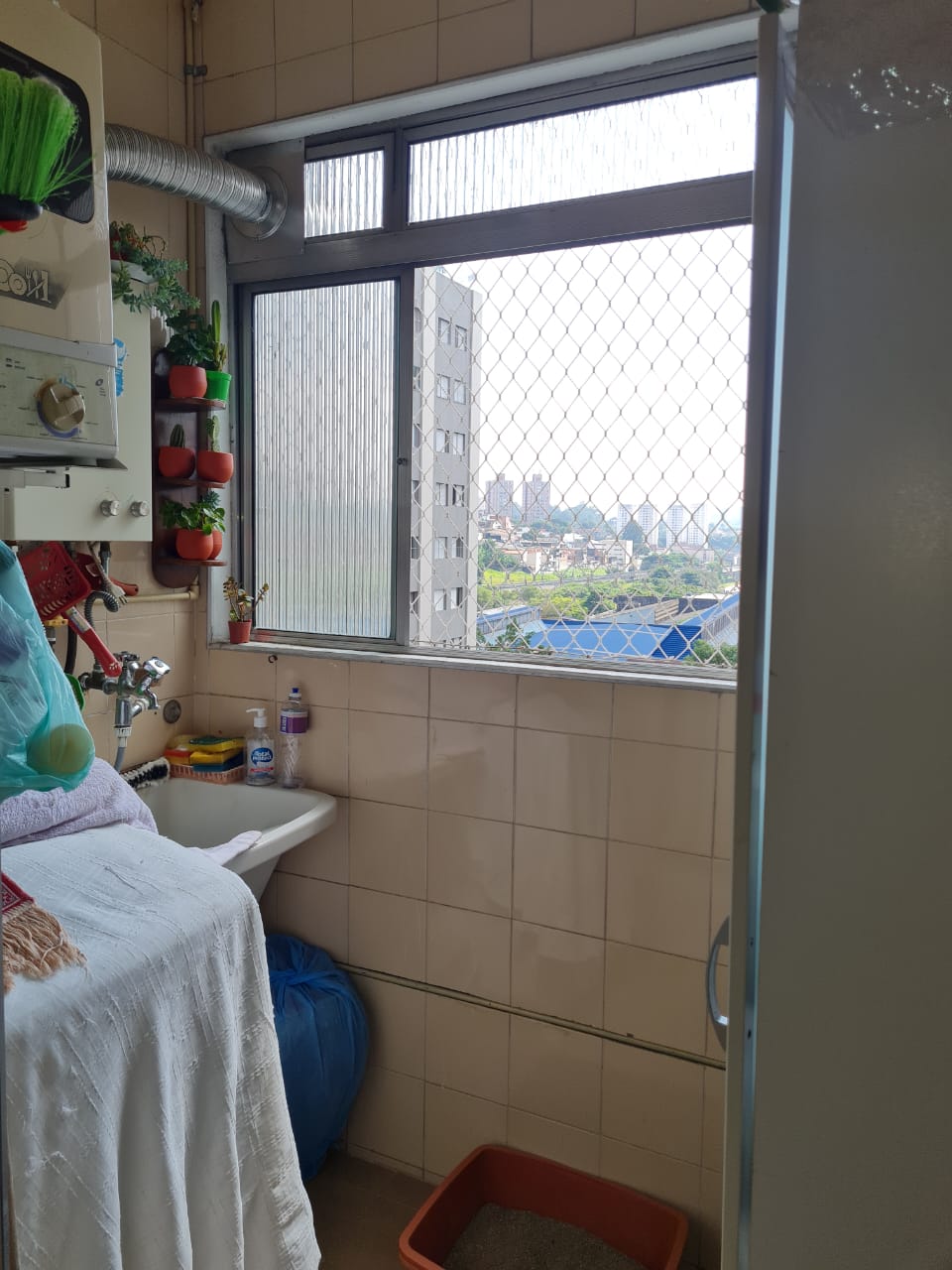 Apartamento de 2 quartos Para alugar em Vila Das Belezas  - AP76143 - Foto 8